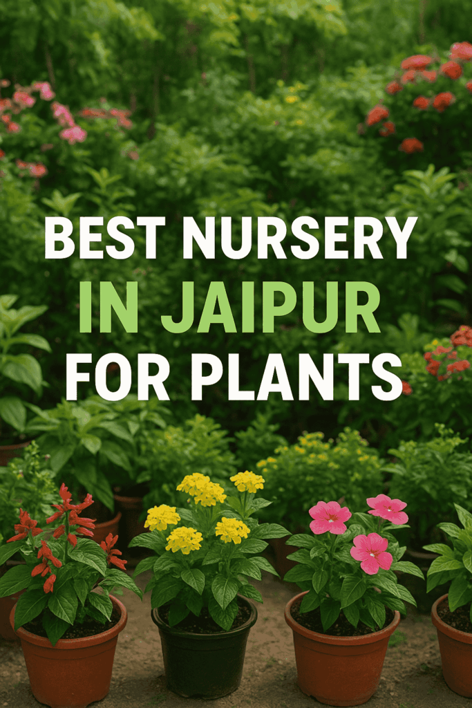 Best Nursery in Jaipur for Plants