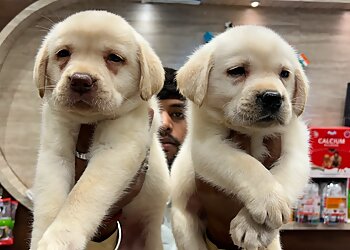 Best Dog Pet Shop in Jaipur