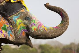 Elephant Festival Jaipur 2026